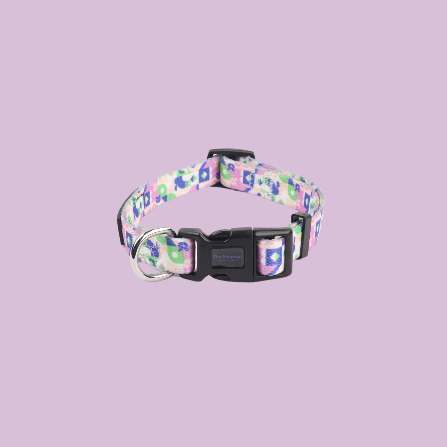 Rainbow Breeze Collar & Leash