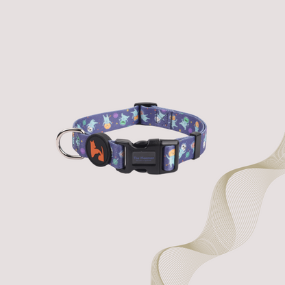 Cosmic Collar & Leash