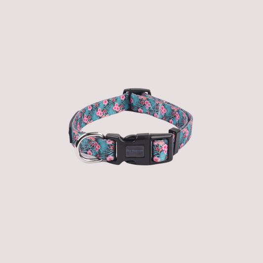 Floral Bliss Collar & Leash