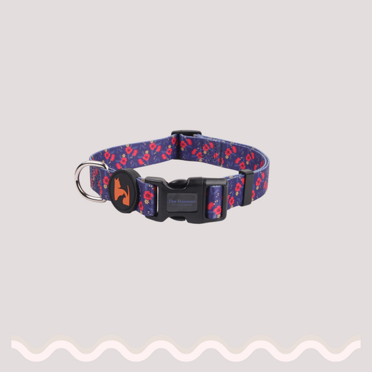 Hibiscus Harmony Collar & Leash