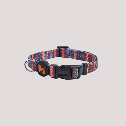 Splash of Vibrance Collar & Leash