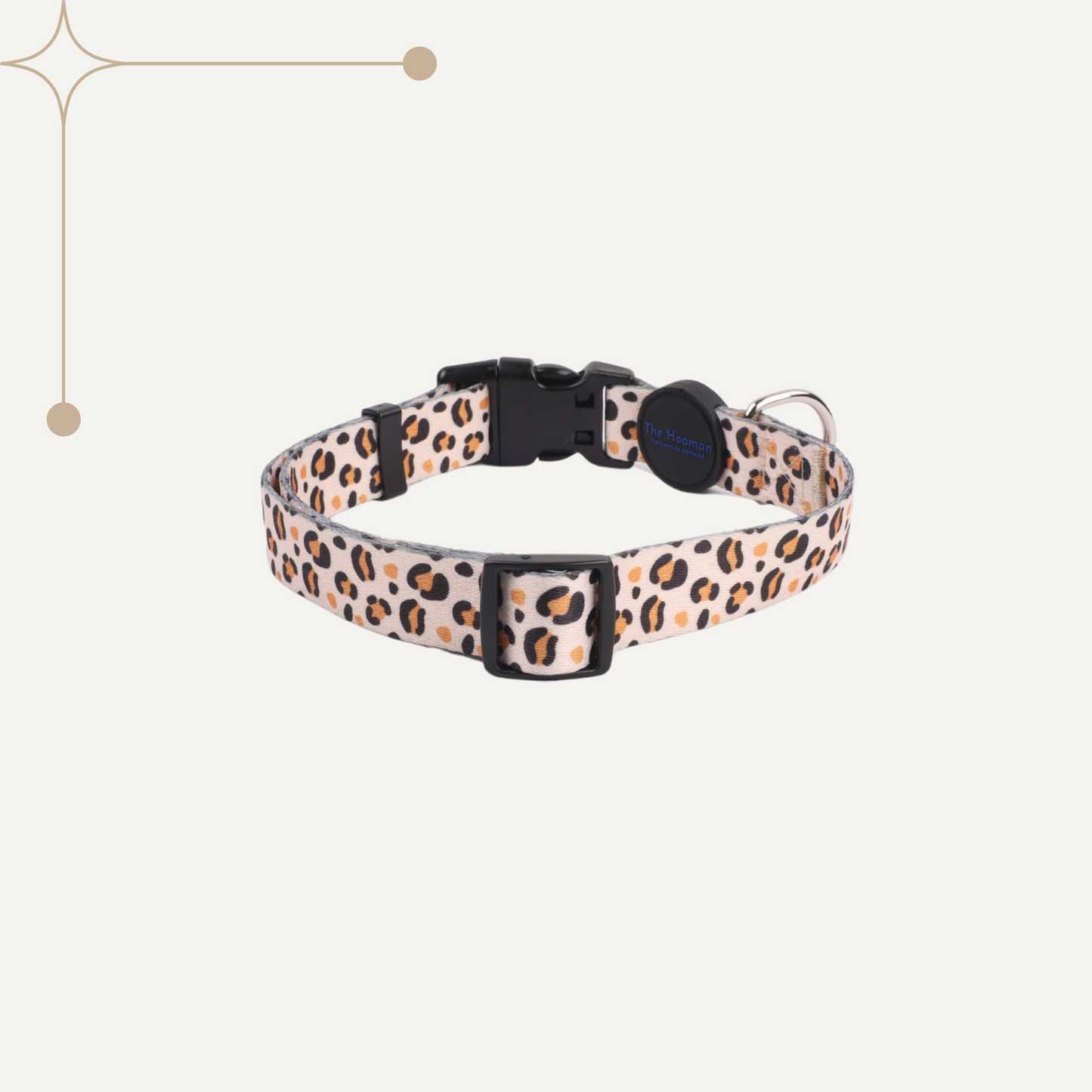 Leopard Luxe Collar & Leash