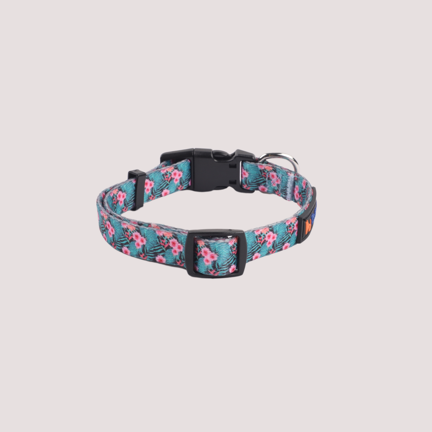 Floral Bliss Collar & Leash