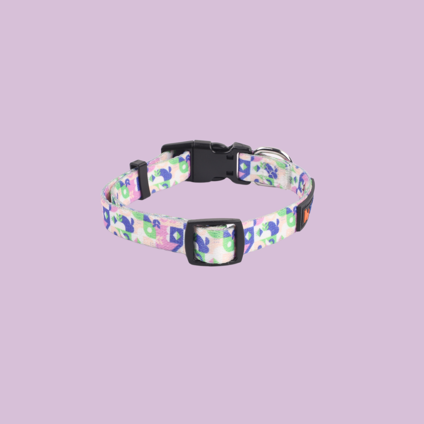 Rainbow Breeze Collar & Leash