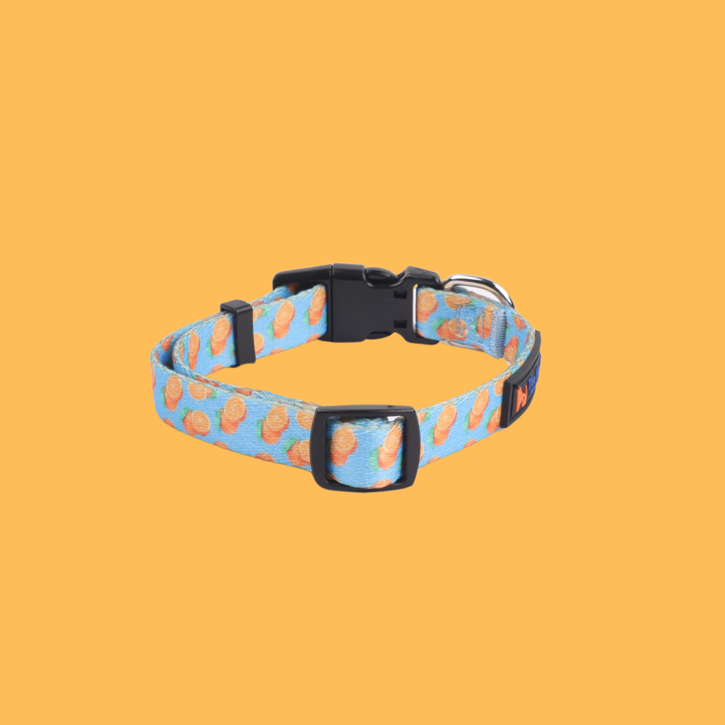 Orange Blaze Collar & Leash