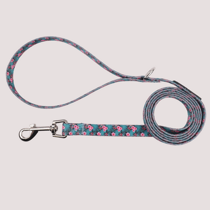 Floral Bliss Collar & Leash