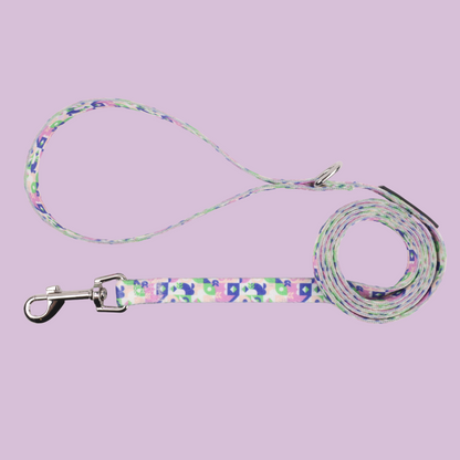 Rainbow Breeze Collar & Leash