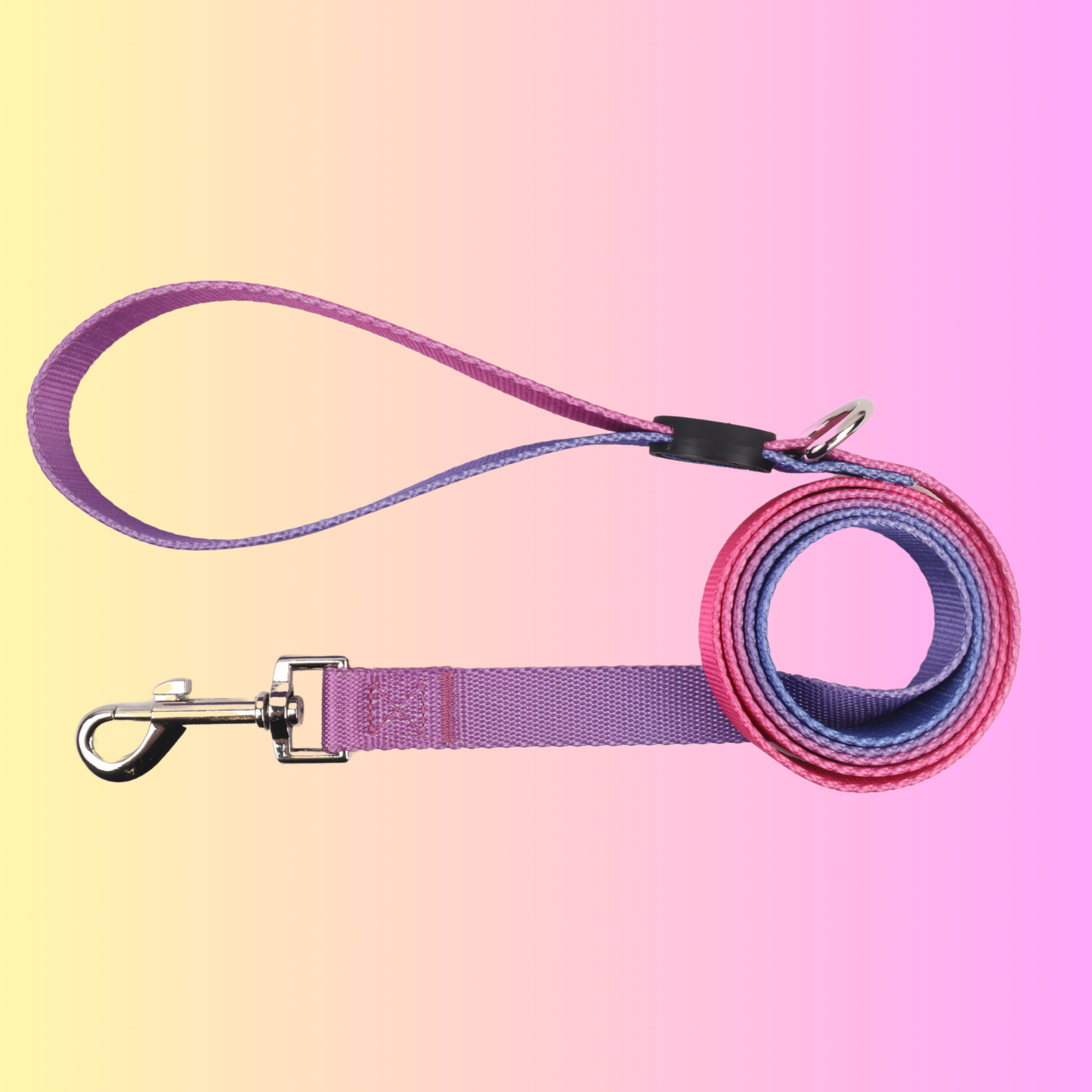 Purple Haze Collar & Leash