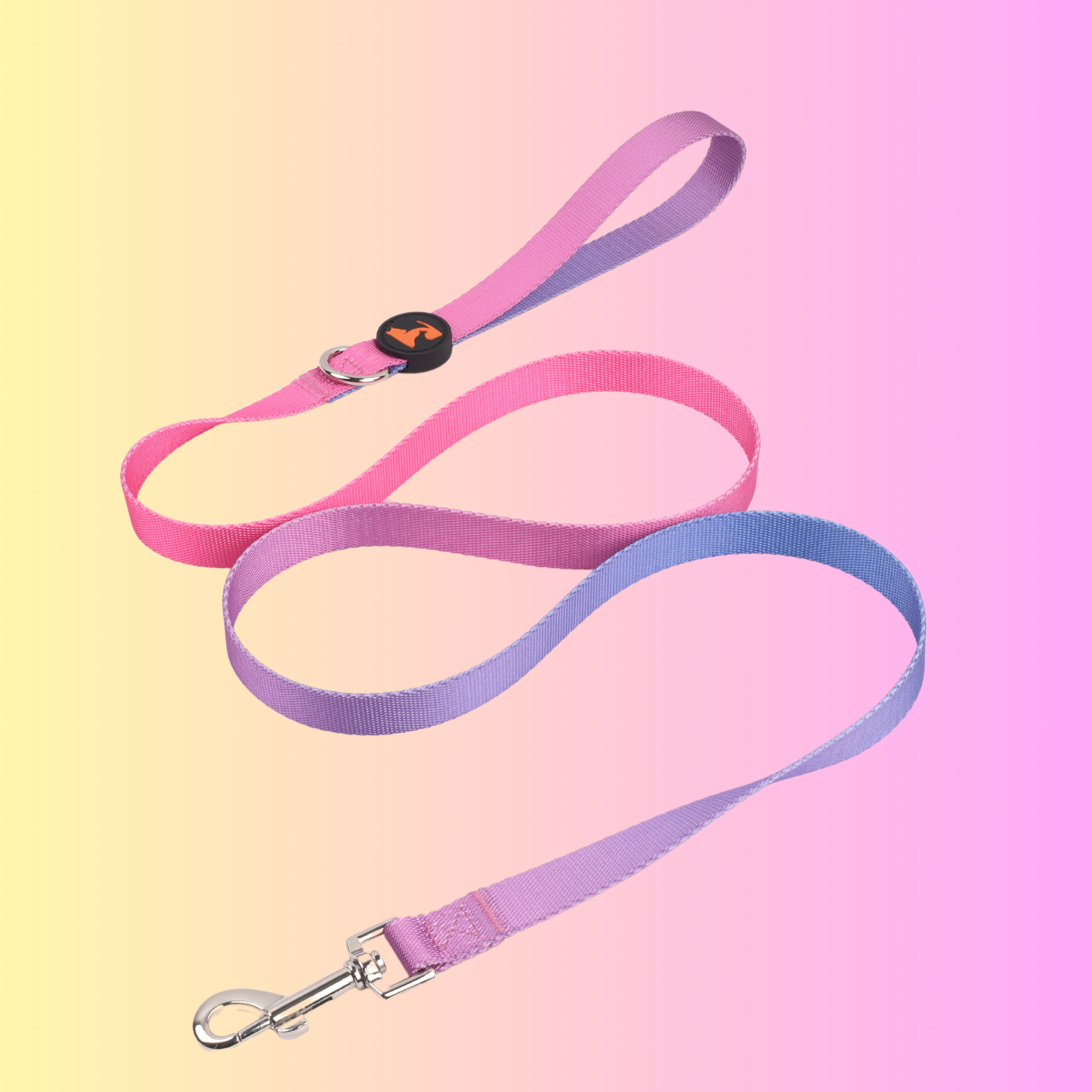 Purple Haze Collar & Leash