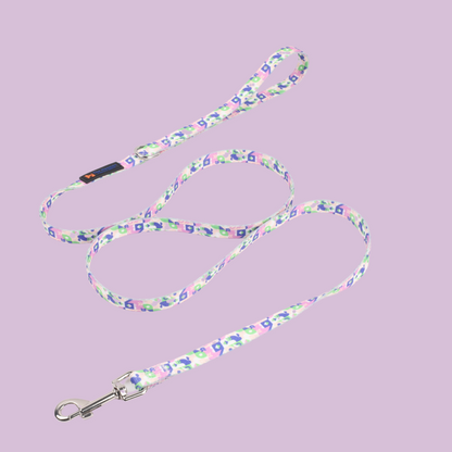 Rainbow Breeze Collar & Leash