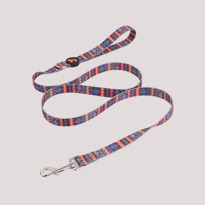 Splash of Vibrance Collar & Leash